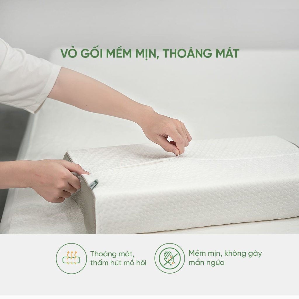 có nên mua gối Gummi Contour Massage