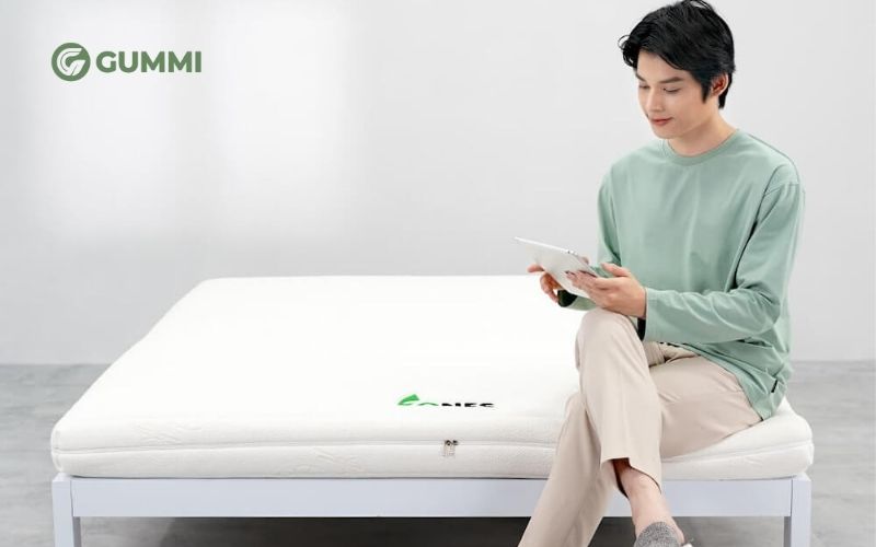 Cách chọn nệm cho người đau dạ dày: Top 10 nệm giúp ngủ ngon 3 Nệm cao su Gummi Latex 7 Zones là sản phẩm thích hợp dành cho người bị đau dạ dày