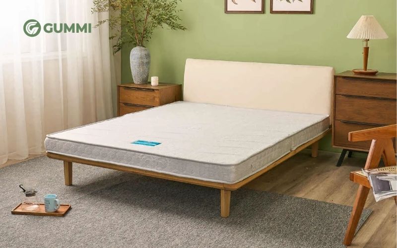 10 Tiêu chí chọn nệm cho homestay và gợi ý loại nệm phù hợp 5 Nệm bông ép cho homestay
