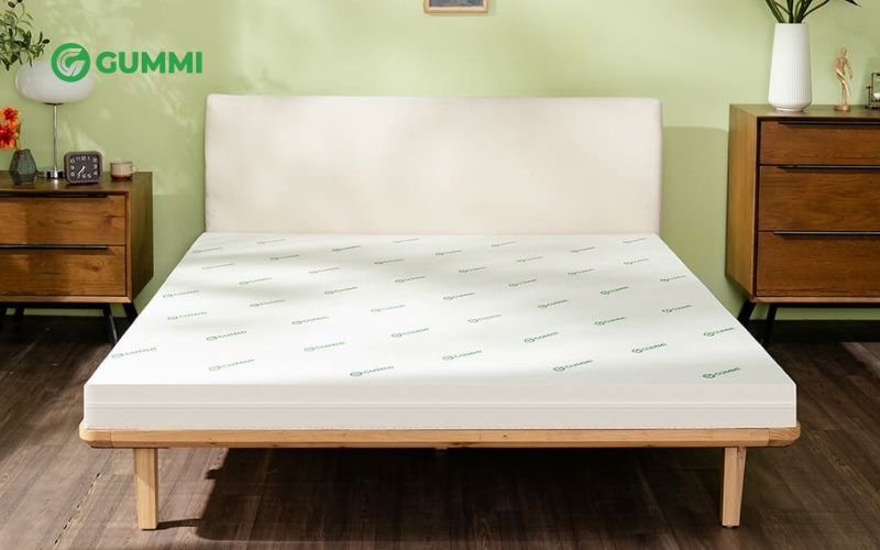 Bí quyết chọn mua nệm cao su 1m2 chất lượng, đẹp và bền 4 Nệm Gummi Lite