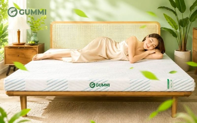 Mua nệm cao su 1m6 ở đâu? Nệm của hãng nào tốt hiện nay? 1 Nệm cao su Gummi