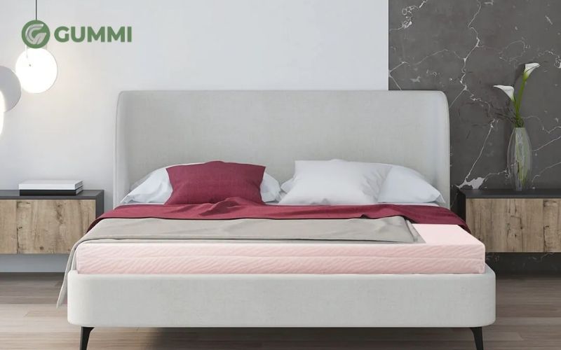 Mua nệm cao su 1m6 ở đâu? Nệm của hãng nào tốt hiện nay? 2 Nệm cao su Liên Á Classic