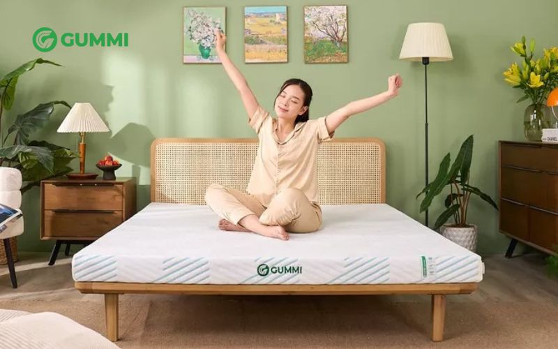 Mua nệm cao su 1m6 ở đâu? Nệm của hãng nào tốt hiện nay? 6 Mua nệm cao su 1m6 chất lượng tại Gummi