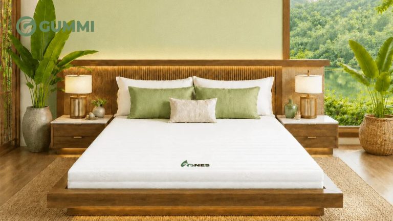 Mua nệm cao su 1m6 ở đâu? Nệm của hãng nào tốt hiện nay?