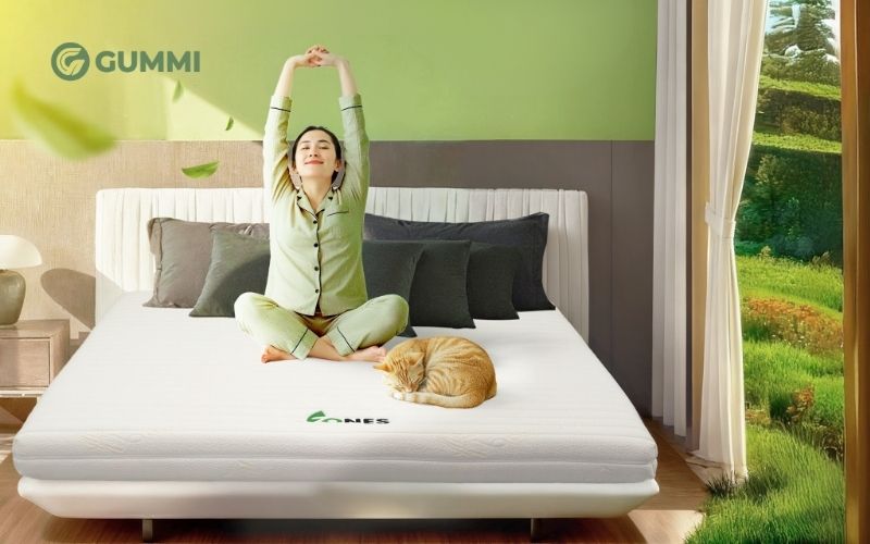 10 Tiêu chí chọn nệm cho homestay và gợi ý loại nệm phù hợp 6 Nệm cao su thiên nhiên đàn hồi tốt và hỗ trợ nâng đỡ vai gáy hiệu quả
