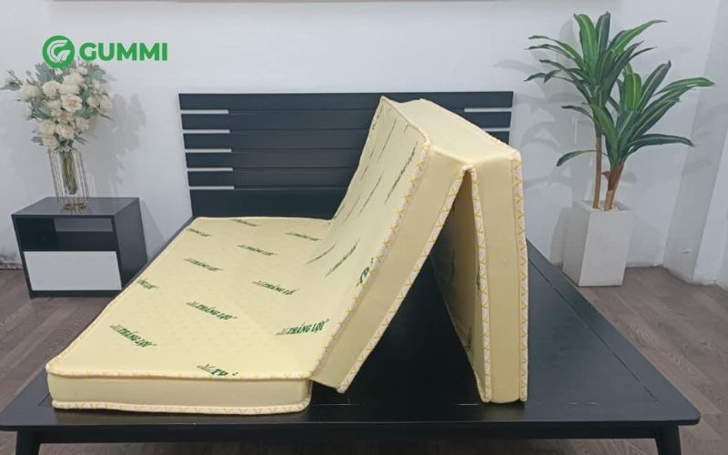Nệm cao su non Thắng Lợi là sản phẩm rất được yêu thích