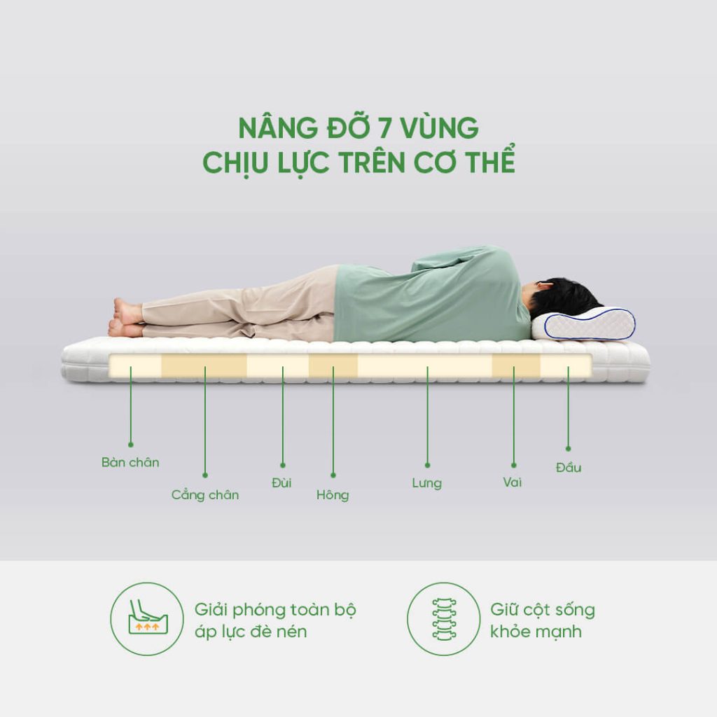 nệm dành người độc thân 