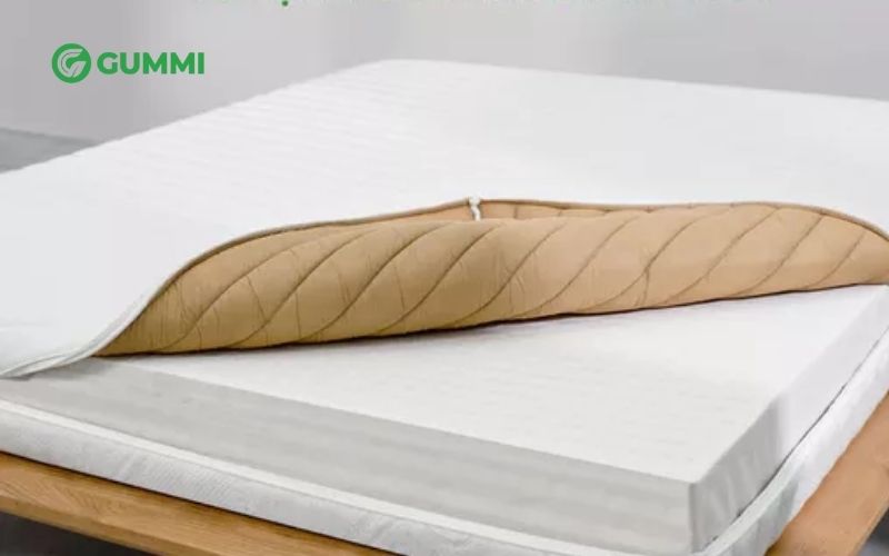 Nệm cao su bao gồm hai loại chính là cao su thiên nhiên và cao su nhân tạo