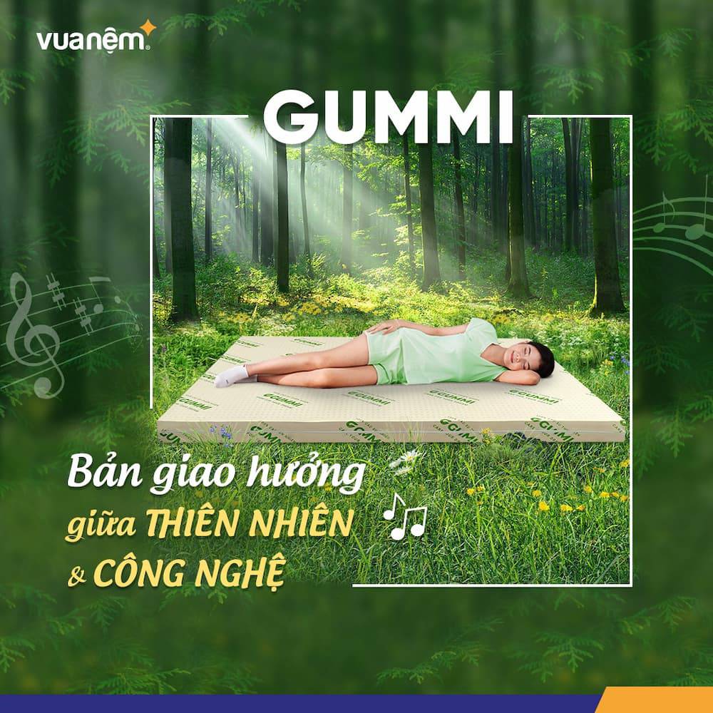 thương hiệu nệm Gummi