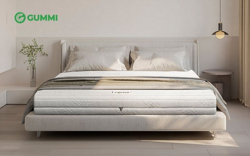 Hạn chế nệm bị mốc khi chọn nệm cao su 100% thiên nhiên tại Gummi 