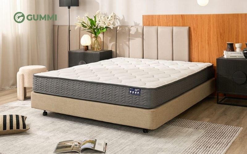 Amando nổi bật với các dòng nệm lò xo