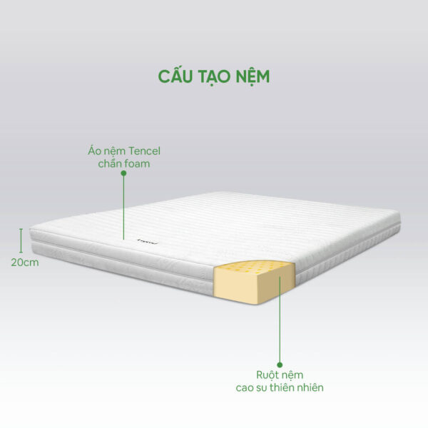 Áo nệm tencel chuẩn foam