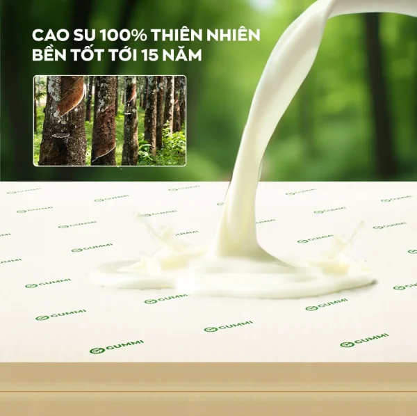 Cao su thiên nhiên