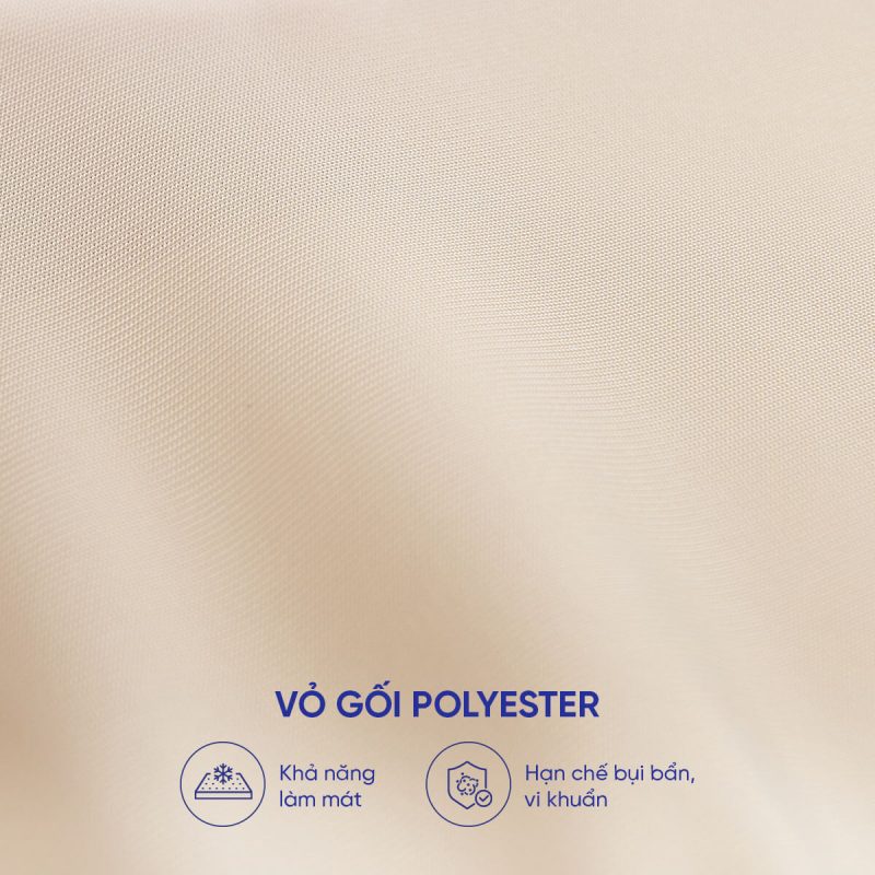 Vỏ gối Polyester