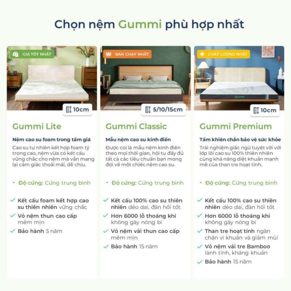 Chọn nệm gummi classic phù hợp