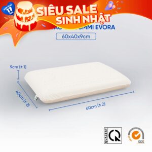 Gối cao su gummi evora