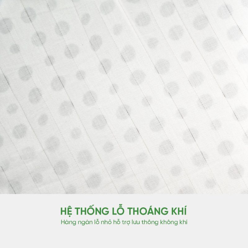 Hệ thống lỗ thoáng khí
