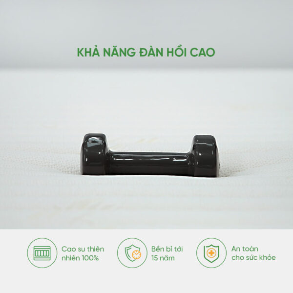 Khả năng đàn hồi cao