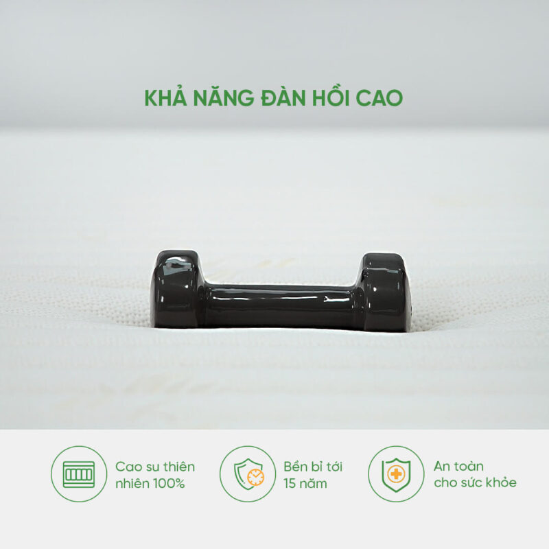 Khả năng đàn hồi cao