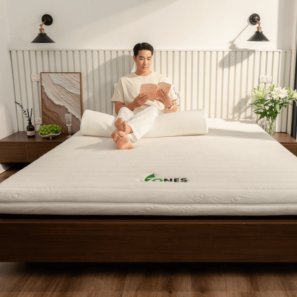 Mua nệm cao su 7 zones