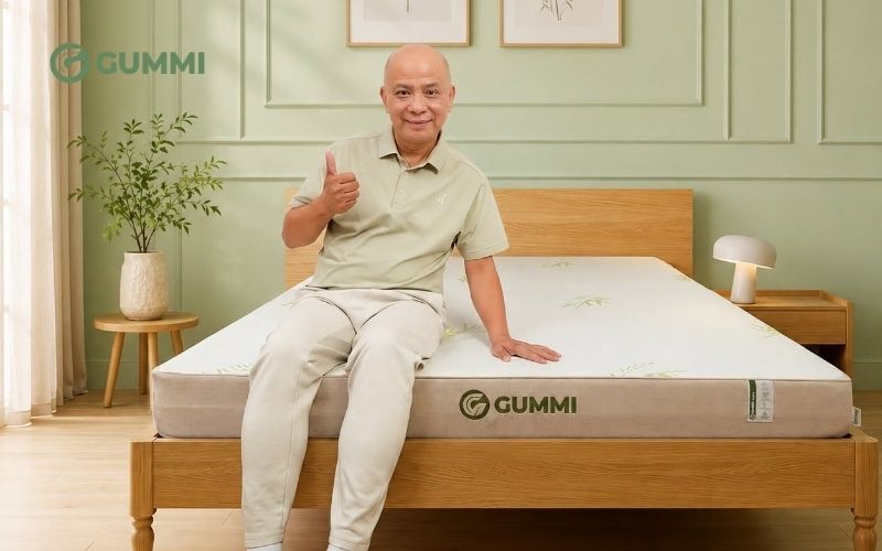 Mua nệm cao su thiên nhiên Gummi cho người đau thần kinh tọa