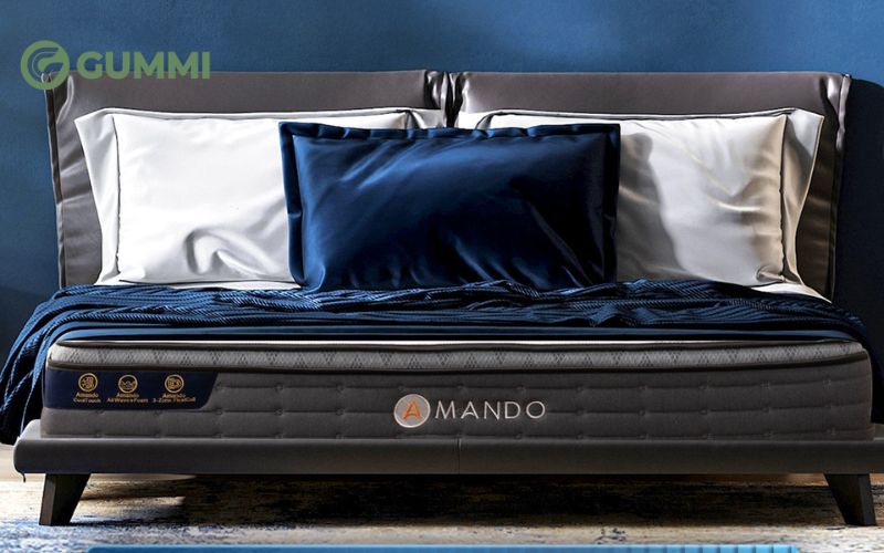 Top 10 mẫu nệm êm, nâng đỡ tốt giúp ngủ sâu và thoải mái 10 Nệm Amando Elite Plus