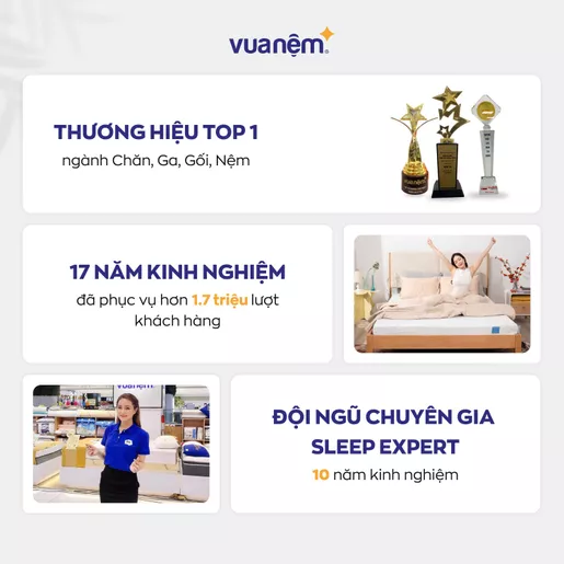 Mua nệm cao su Gummi tại Vua Nệm