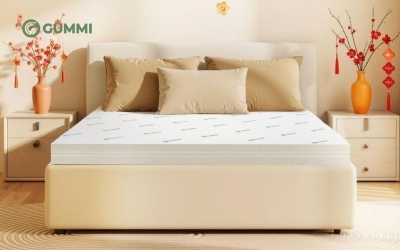 Nệm cho người đau hông Gummi Lite