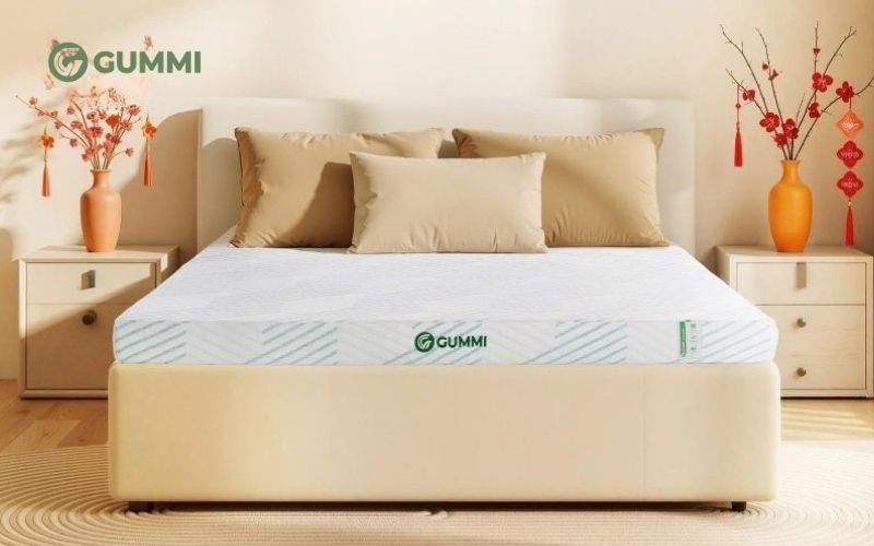Nệm cao su cho người đau hông Gummi Signature