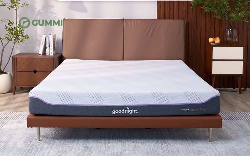 TOP 10 nệm cho người ngủ ngáy chất lượng, đáng dùng hiện nay 15 Nệm cho người ngủ ngáy Goodnight Active Hybrid