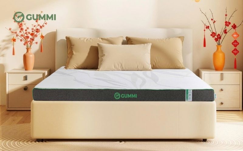 TOP 10 nệm cho người ngủ ngáy chất lượng, đáng dùng hiện nay 4 Nệm cho người ngủ ngáy Gummi Premium