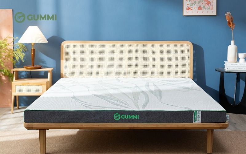 Top 10 mẫu nệm êm, nâng đỡ tốt giúp ngủ sâu và thoải mái 6 Nệm cao su thiên nhiên Gummi Premium