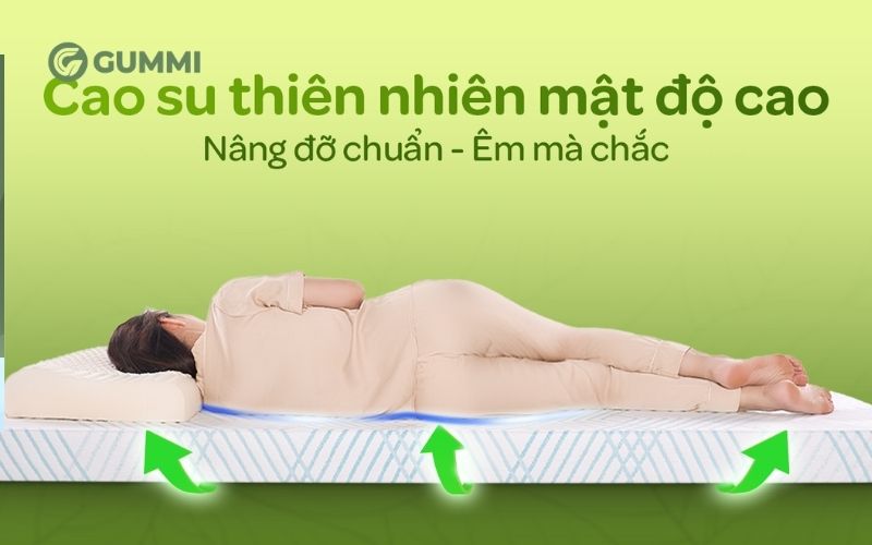 Nệm cao su Gummi Signature