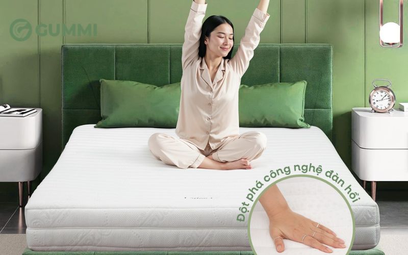 Top 10 mẫu nệm êm, nâng đỡ tốt giúp ngủ sâu và thoải mái 8 Nệm cao su thiên nhiên cao cấp Gummi Legend