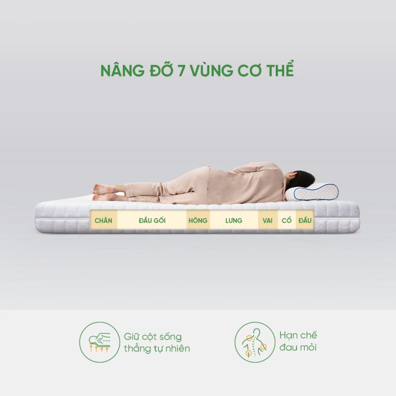 Nâng đỡ 7 vùng cơ thể