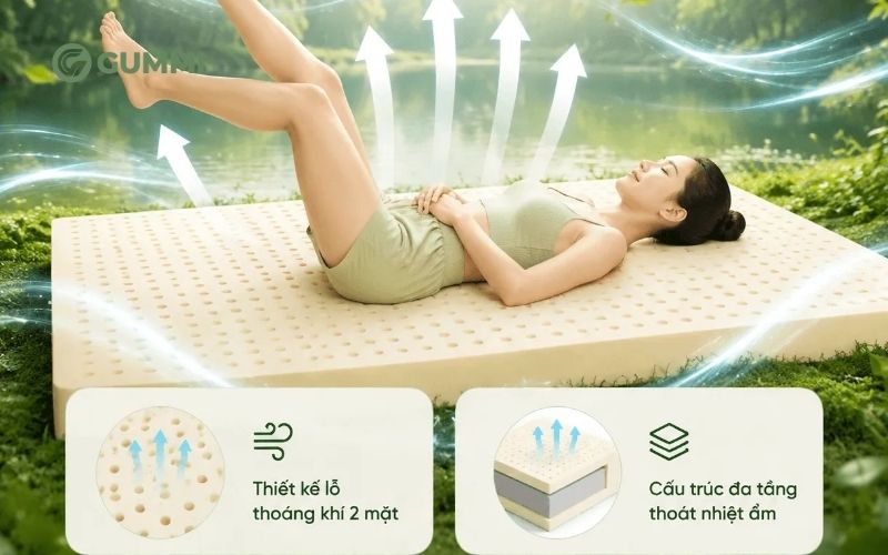 Nệm cao su và nệm đa tầng: Chọn mua nệm nào phù hợp? 8 Nệm cao su đa tầng Gummi Lite