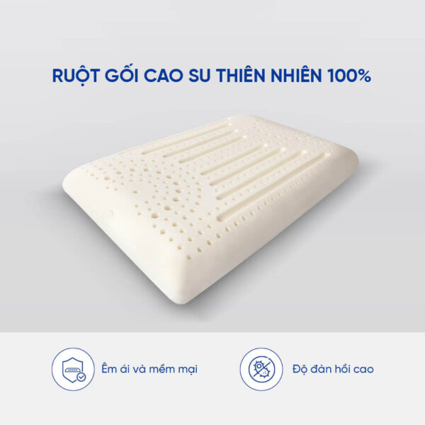 Ruột gối cao su thiên nhiên