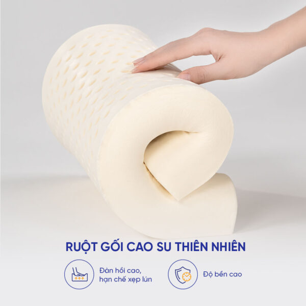 Ruột gối cao su thiên nhiên