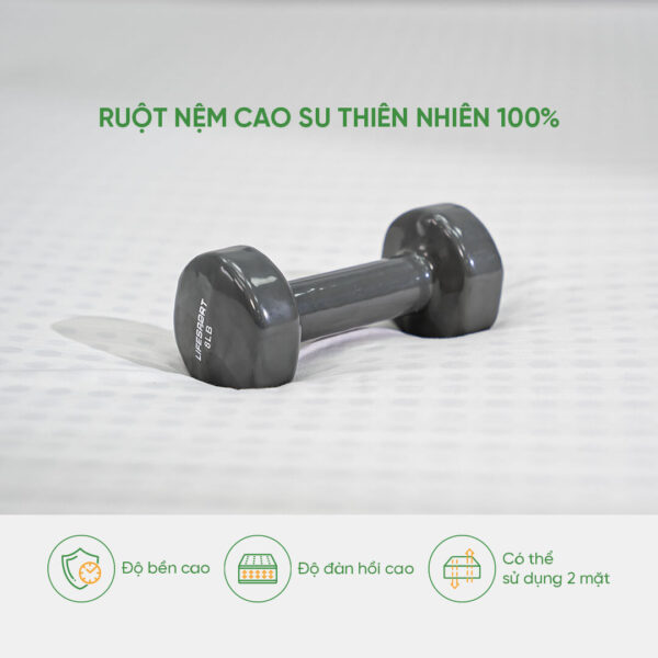 Ruột nệm cao su thiên nhiên