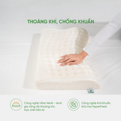 Thoáng khí chống khuẩn