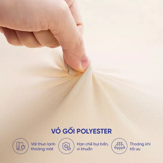 Vỏ gối polyester