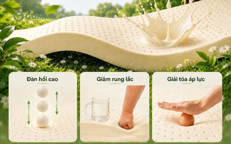 Nên mua nệm cao su hay bông ép? Loại nệm nào tốt hơn? 2 So với nệm bông ép, nệm cao su có độ bền và độ đàn hồi cao hơn hơn