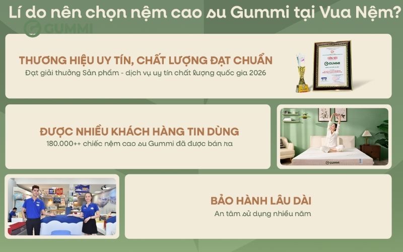Gummi - Mua nệm cho người đau cột sống chất lượng