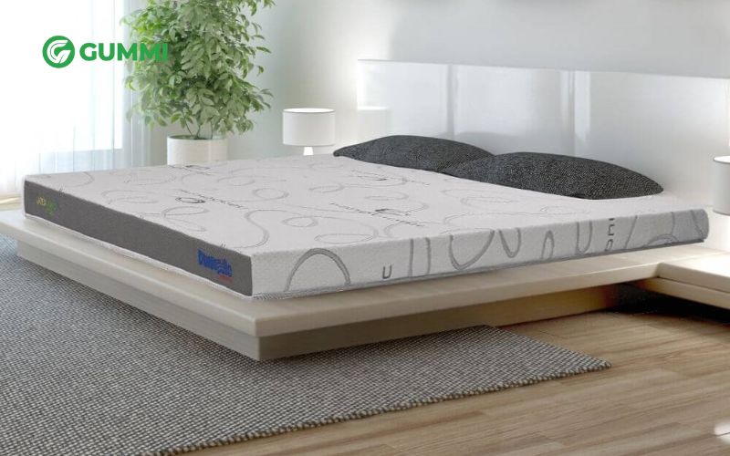 Nệm cao su nào tốt? Top 10 sản phẩm nệm cao su chất lượng 10 Nệm cao su thiên nhiên Dunlopillo Latex World Relax