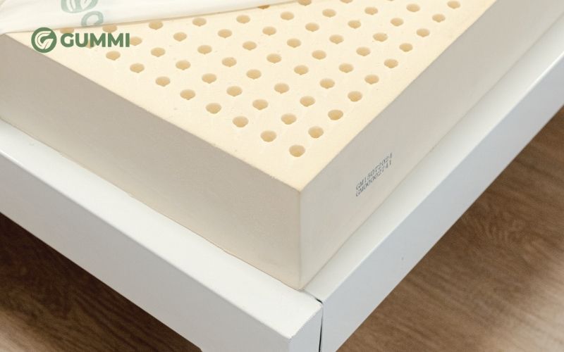 Nệm cao su là gì? Tổng hợp những loại nệm cao su phổ biến 1 Giải đáp nệm cao su là gì?