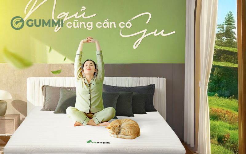 Tổng hợp kích thước nệm cao su phổ biến nhất hiện nay 6 Nệm cao su Gummi 7 zones sở hữu khả năng nâng đỡ vượt trội
