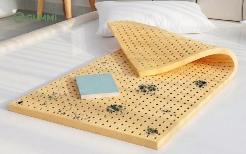 10 Cách bảo quản nệm cao su đơn giản để duy trì tuổi thọ nệm 1 Loại bỏ và ngăn chặn nấm mốc