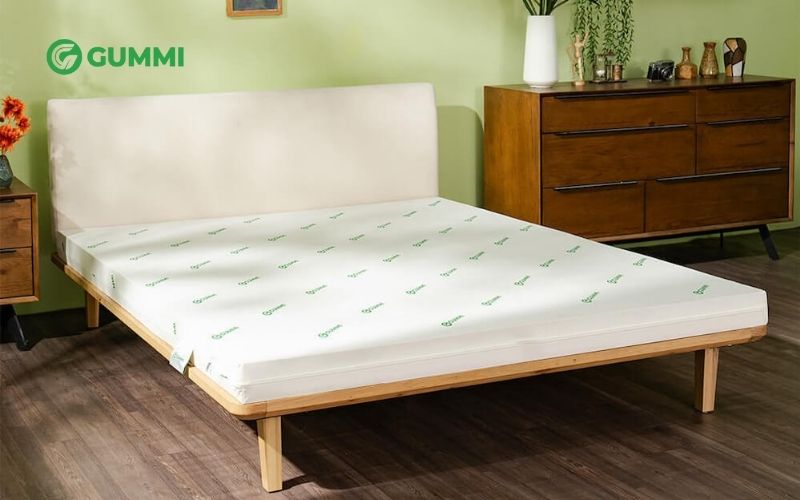Nệm cao su 1 người nằm tốt không? Nên mua loại nào? 3 Sản phẩm nệm Gummi Lite góp phần nâng đỡ và bảo vệ cột sống vượt trội