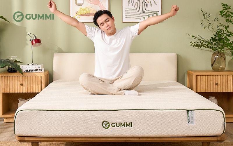 Nệm cao su 3in1 Gummi Hybrid Plus