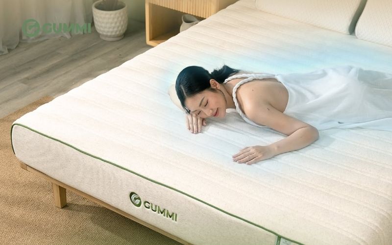 Nệm cao su cân bằng nhiệt 3in1 Gummi Hybrid Plus